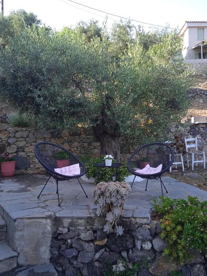 Marianna Studios Agios Petros  Bagian luar foto